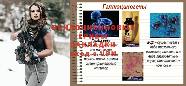 прущая мука Абаза