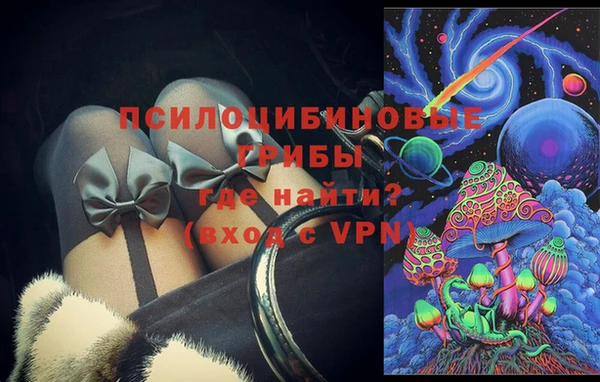 тгк Алексин