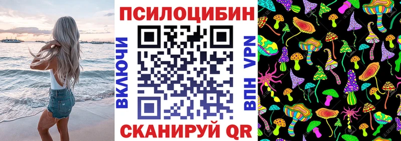 площадка клад  Удомля  Псилоцибиновые грибы Psilocybe 
