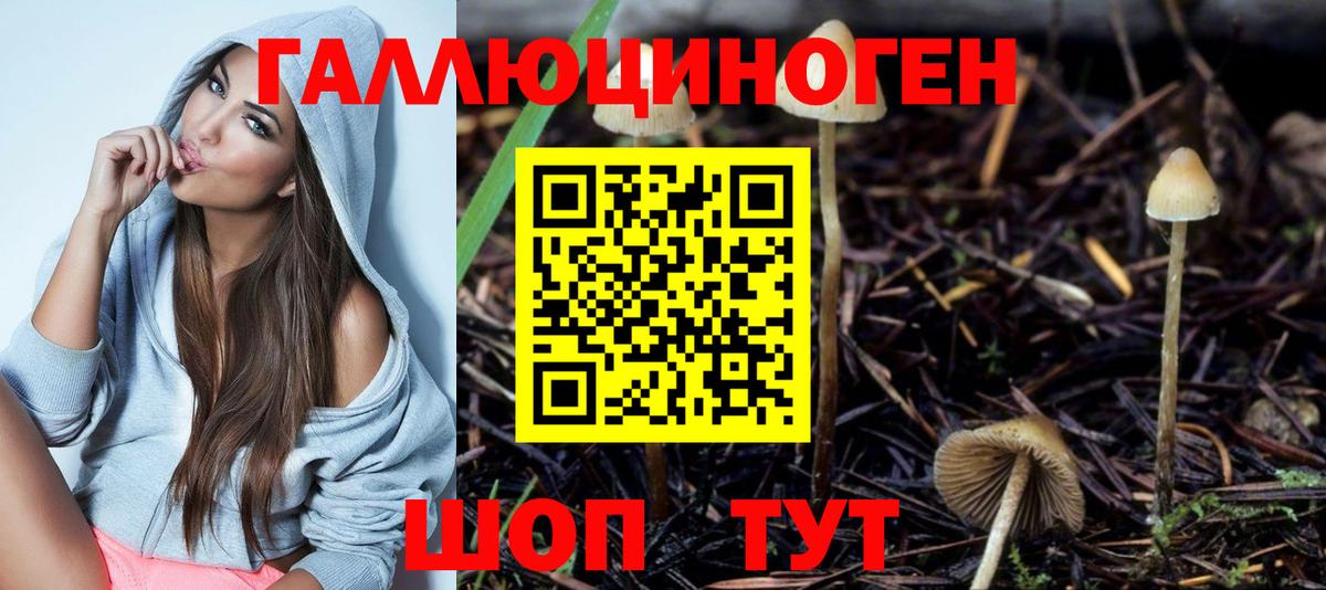 Удомля  Псилоцибиновые грибы ЛСД  Галлюциногенные грибы мицелий  Вход с VPN 